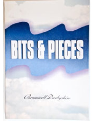 Bits & Pieces (paperback)