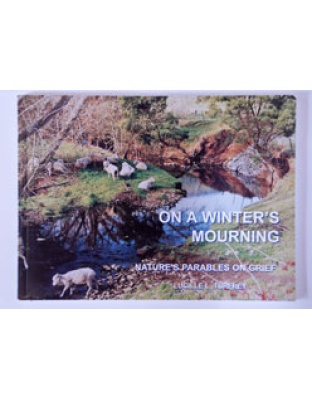 On a Winter's Mourning (Parables on Grief)