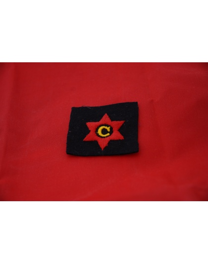 Arm Badge - Corps Cadet