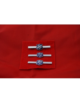 Blue Shield Lapel Badge